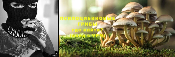 дмт Михайлов