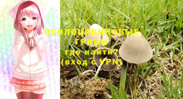 дмт Михайлов