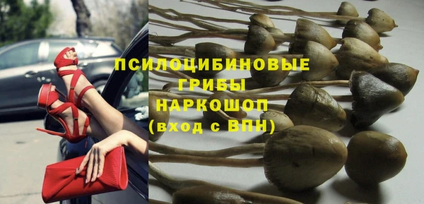 эйфоретик Михайловск