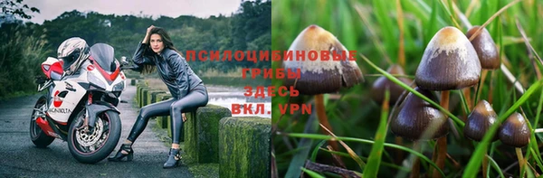дмт Михайлов