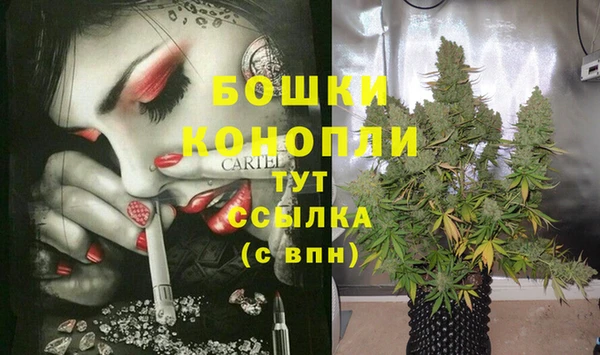 эйфоретик Михайловск